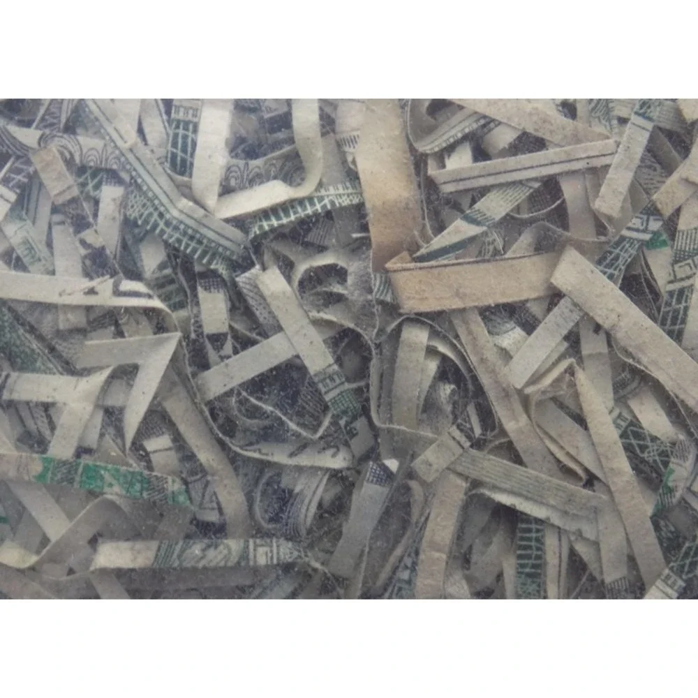 Shredded U. S. Currency Plastic Doll From Dollar Bills Destroyed Cash Patch